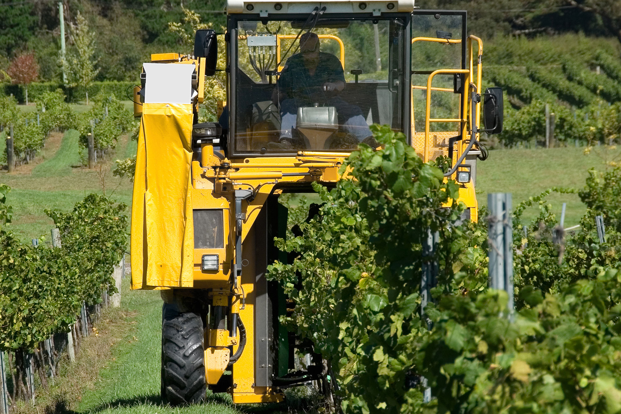 Domaine de Dame Bertrande