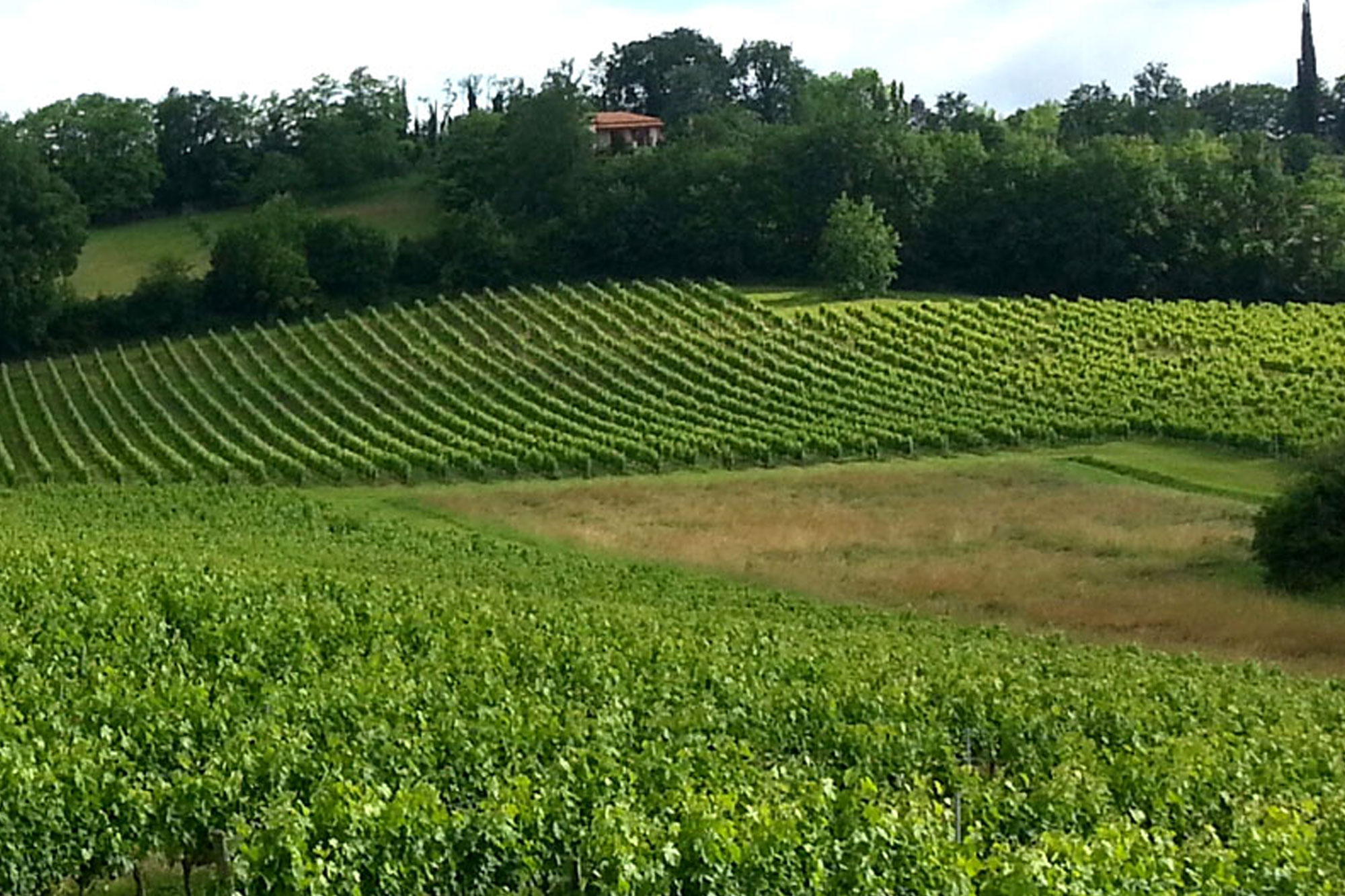 Château La Grave Béchade
