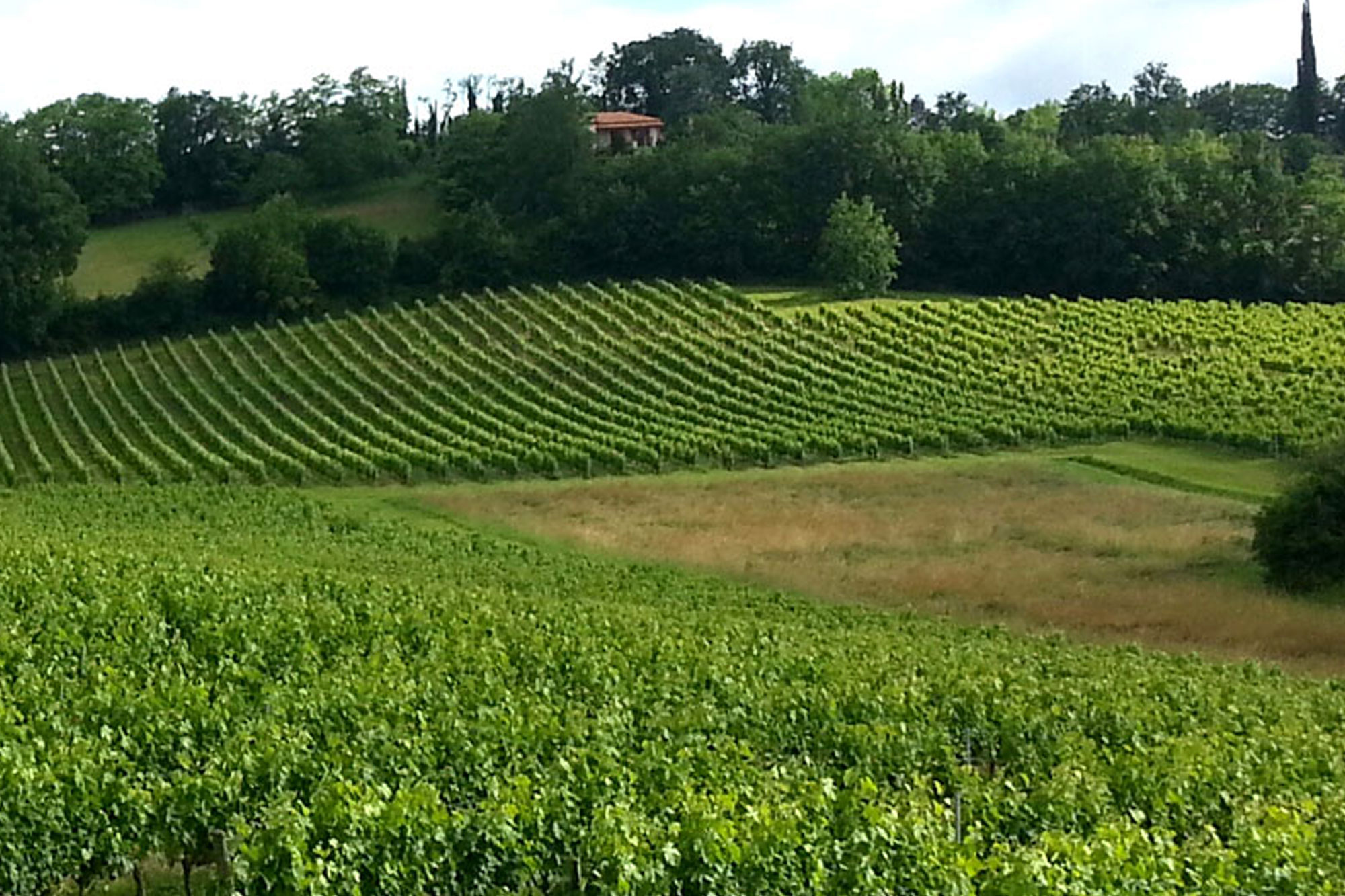 Château La Grave Béchade